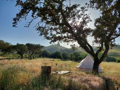 Bell Tent 1