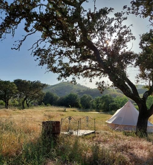 Bell Tent 1